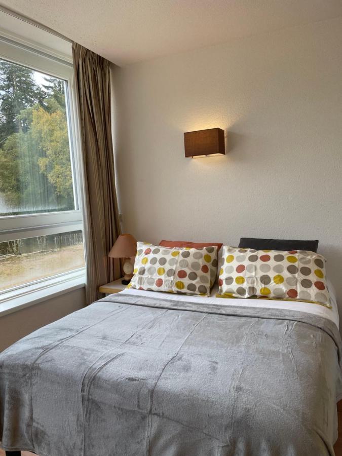 Appart'Hotel Lido Au Bord De L'Eau Gérardmer Dış mekan fotoğraf