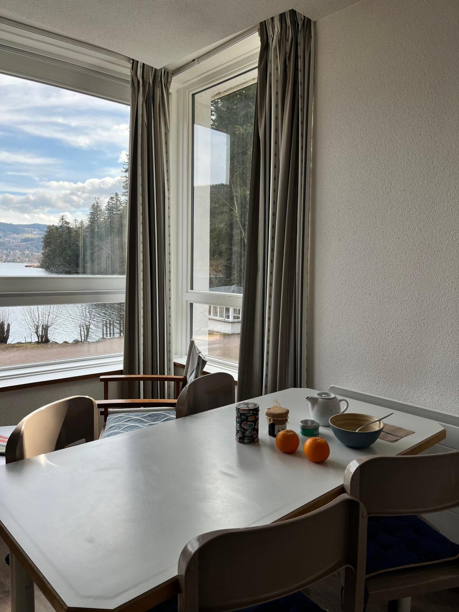Appart'Hotel Lido Au Bord De L'Eau Gérardmer Dış mekan fotoğraf